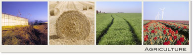 Agriculture